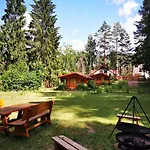 Leśne Wejsuny