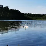 Dom wakacyjny Leśne