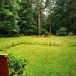 Leśne Wejsuny