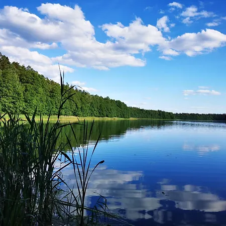 Дом отдыха Lesne *