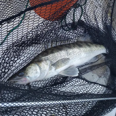 Lesne Дом отдыха Wejsuny