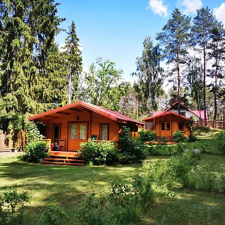 Lesne Дом отдыха *