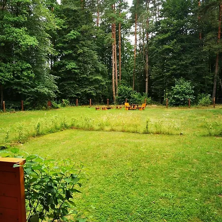 Lesne Wejsuny