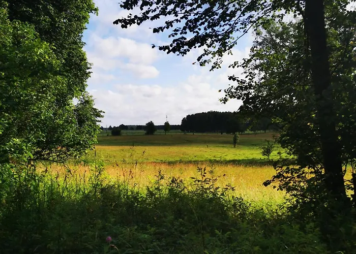 Lesne Дом отдыха *