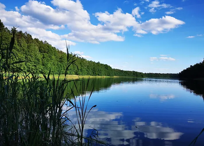 Дом отдыха Lesne *