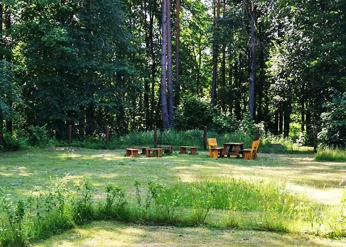 Lesne Дом отдыха *