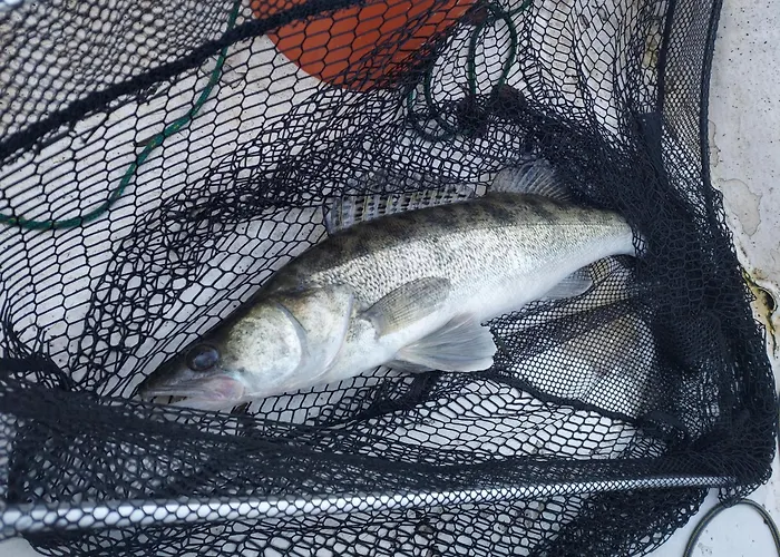 Lesne Дом отдыха Wejsuny