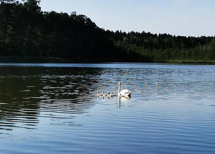 Hébergement de vacances Lesne